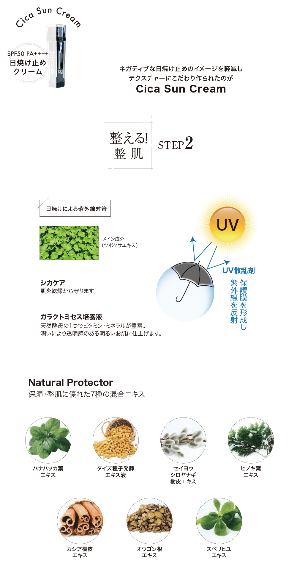 整える整肌